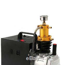 30MPA Air Compressor Pump High Pressure PCP Electric Pressure Setting 4500PSI DE