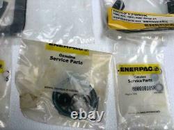 Enerpac Patg Pneumatic Air Hydraulic Foot Pump Repair Kit As Per Photos